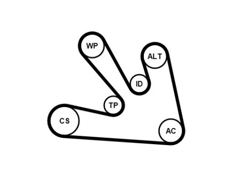 Poly kilremssats 7PK1687K1 Contitech, bild 2