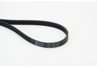 Poly V-rem 5PK1245 Contitech