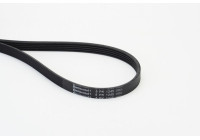 Poly V-rem 5PK1245 Contitech