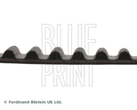 kamrem ADC47514 Blue Print, bild 4