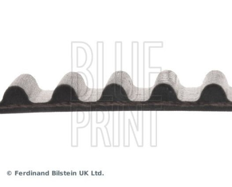 kamrem ADC47519 Blue Print, bild 4