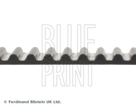 kamrem ADC47521 Blue Print, bild 4