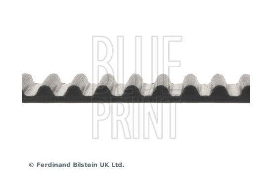 kamrem ADC47521 Blue Print, bild 4