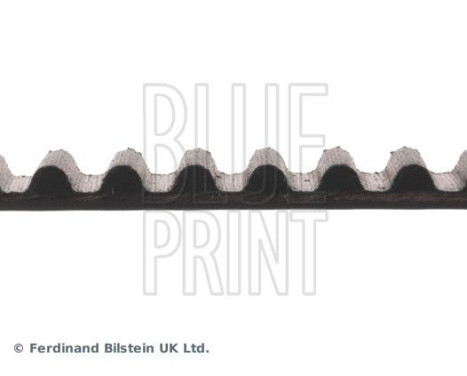 kamrem ADM57508 Blue Print, bild 4