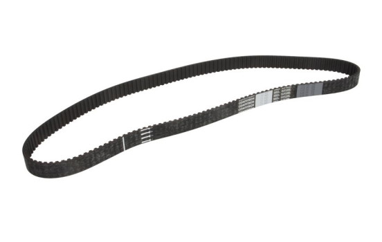 Kamrem CT1149 Contitech