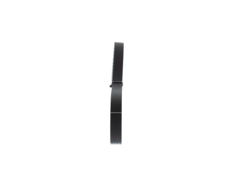 Kuggrem 7629,525M20 Bosch, bild 2