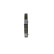 Kuggrem HTDN9249,525M19,75 Bosch, miniatyr 4