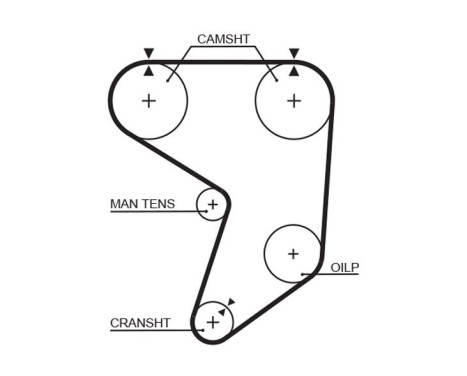 Kuggrem T237RB Gates