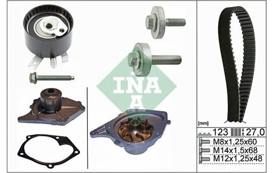 Vattenpump + kamremsats 530019730 Ina