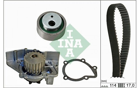 Vattenpump + Kamremsats 530025830 Ina
