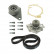Vattenpump + kamremsats VKMC 06603 SKF