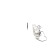 Vattenpump + kamremssats 1 987 946 959 Bosch, miniatyr 4
