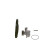 Vattenpump + kamremssats 1 987 946 990 Bosch, miniatyr 4