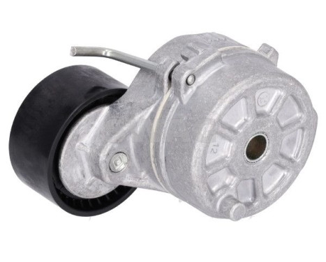 bältesspännare, bild 2