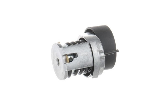 Spännrulle, aggregatrem VKM 31047 SKF, bild 4