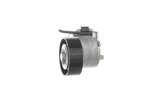 Spännrulle, aggregatrem VKMCV 52013 SKF, bild 4