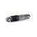 Vibrationsdämpare, flerspårsrem 533009910 Ina
