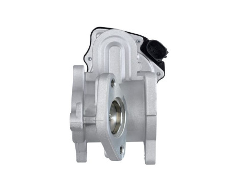 Agr-Ventil 6NU 010 171-291 Hella, bild 2