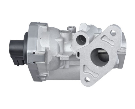 Agr-Ventil 6NU 010 171-461 Hella, bild 4