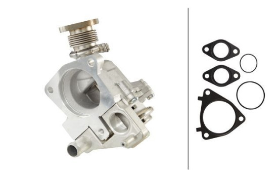 Agr-Ventil 6NU 010 171-571 Hella