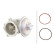 Agr-Ventil 6NU 010 171-701 Hella