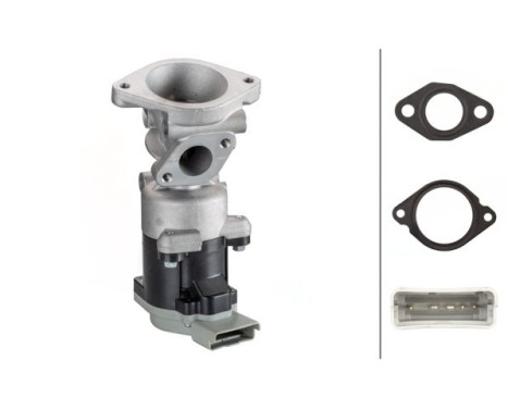 Agr-Ventil 6NU 010 171-821 Hella