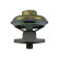 Agr-Ventil EEG-1015 Kavo parts