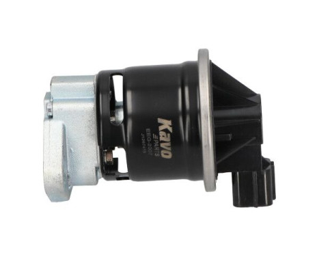 Agr-Ventil EEG-2007 Kavo parts
