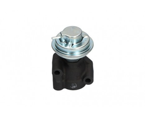 Agr-Ventil EEG-3005 Kavo parts, bild 4