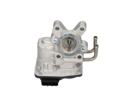Agr-Ventil EEG-6505 Kavo parts