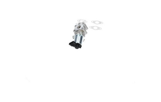 Agr-Ventil EEG-9024 Kavo parts, bild 2