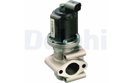Agr-Ventil EG10259-12B1 Delphi