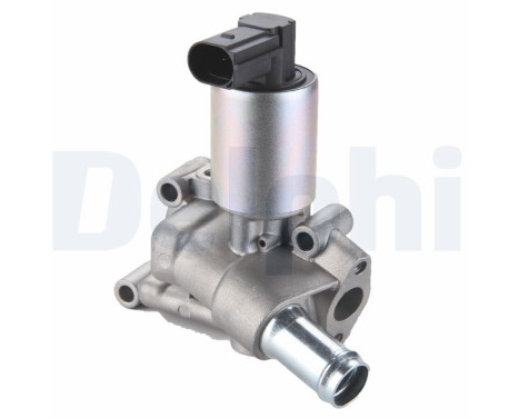 Agr-Ventil EG10289-12B1 Delphi