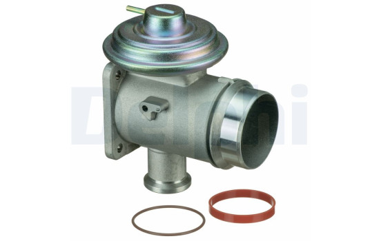 Agr-Ventil EG10465-12B1 Delphi