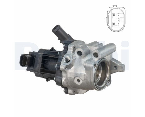 Agr-Ventil EG10482-12B1 Delphi