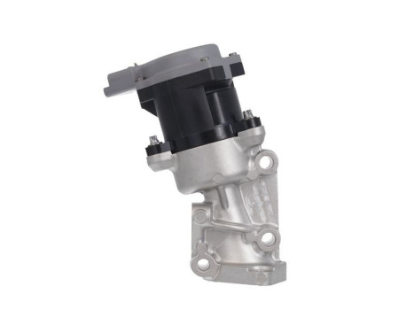 Agr-Ventil ORIGINAL PART 700411 Valeo, bild 4