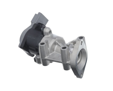 Agr-Ventil ORIGINAL PART 700411 Valeo, bild 5