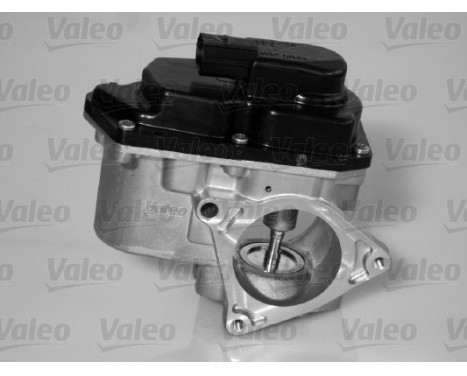 Agr-Ventil ORIGINAL PART 700424 Valeo