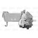 EGR-modul ORIGINAL PART 700438 Valeo, miniatyr 3