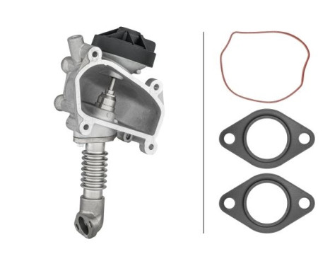 EGR-ventil 6NU 014 864-641 Hella