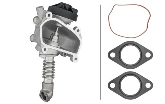 EGR-ventil 6NU 014 864-641 Hella