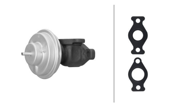 EGR-ventil 6NU 014 865-681 Hella
