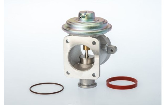 EGR-ventil 710924D Wahler