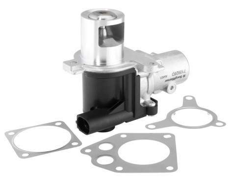 EGR-ventil 710928D Wahler, bild 2