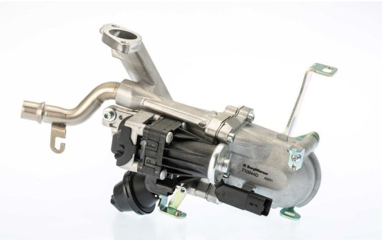 EGR-ventil 710944D1 Wahler