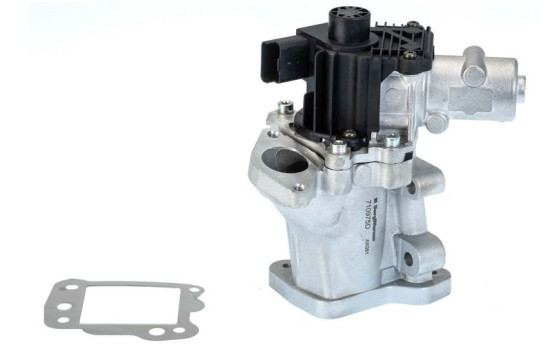 EGR-ventil 710975D1 Wahler