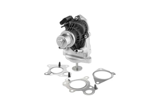 EGR-ventil 710980D Wahler