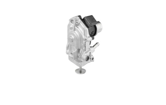 EGR-ventil 710980D Wahler, bild 2