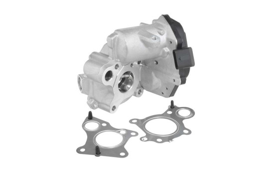 EGR-ventil 712019D Wahler