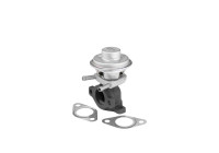 EGR-ventil 712069D Wahler
